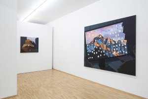Install View