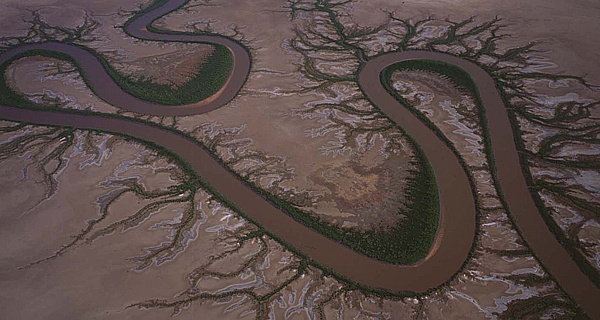 Richard Woldendorp, Forrest River, N/W Wyndham, Kimberley, WA 2002