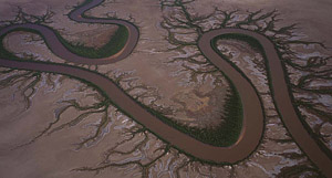 Forrest River, N/W of Wyndham, Kimberley, WA