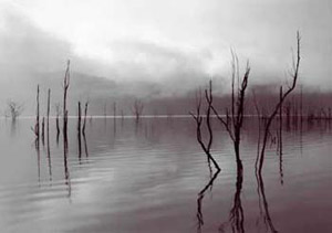 Drowned, No. 16 (Lake Gordon, Tasmania)