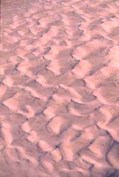 Richard Woldendorp, Sand dune pattern,  north of Wedge Island, WA   