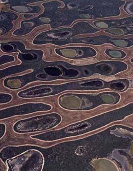Richard Woldendorp, Salt lakes w/plough patterns, Esperance, WA 