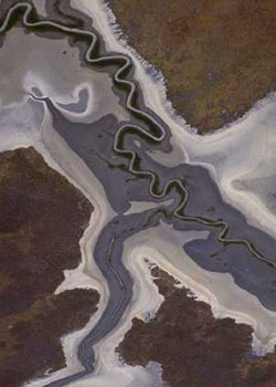 Richard Woldendorp, Aerial, coastal river pattern, NT  