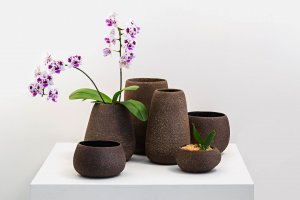 Sweet Nature: Dark Orchid Landscape