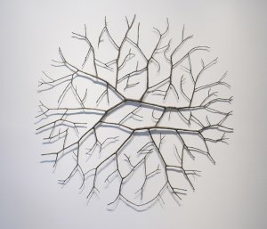 Fallen Branch