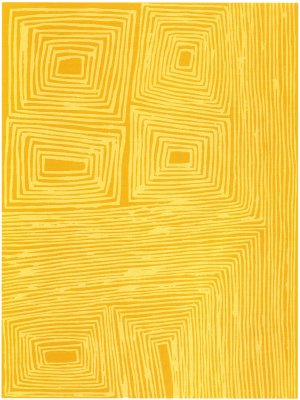 Emu Dreaming, from the Crossroads portfolio