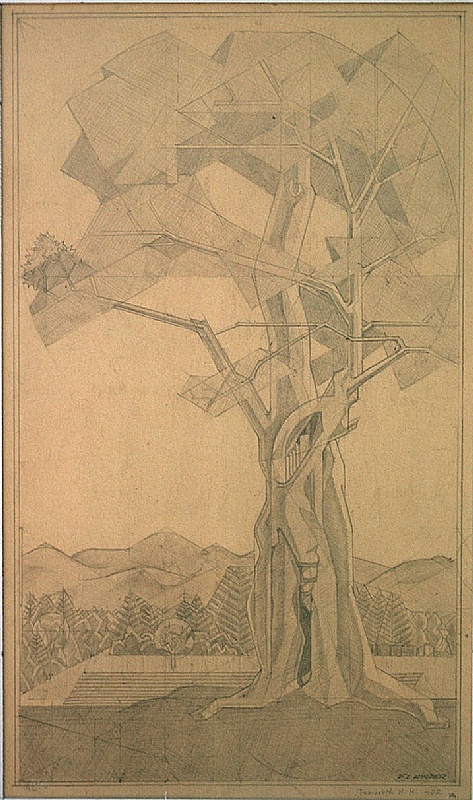 Frank Hinder, Study of tree