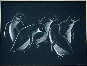 Fairy penguins