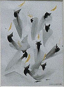 Frank Hinder, Sulphur-crested cockatoos