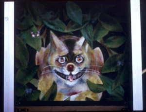 Cheshire cat - for 125th anniversary of Alice in Wonderland
