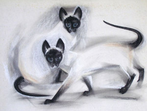 Two Siamese cats