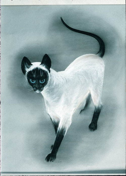 Frank Hinder, Siamese cat