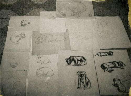 Frank Hinder, Dog, wombat, koala, lion etc studies