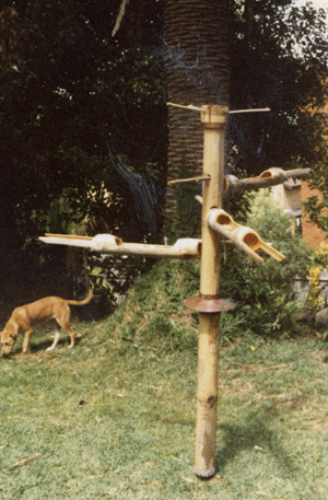 Bird feeder with cat barrier