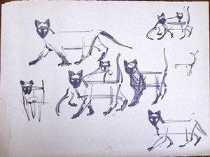 Siamese cats - studies