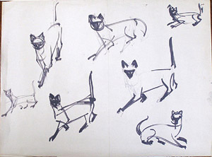 Siamese cats - studies