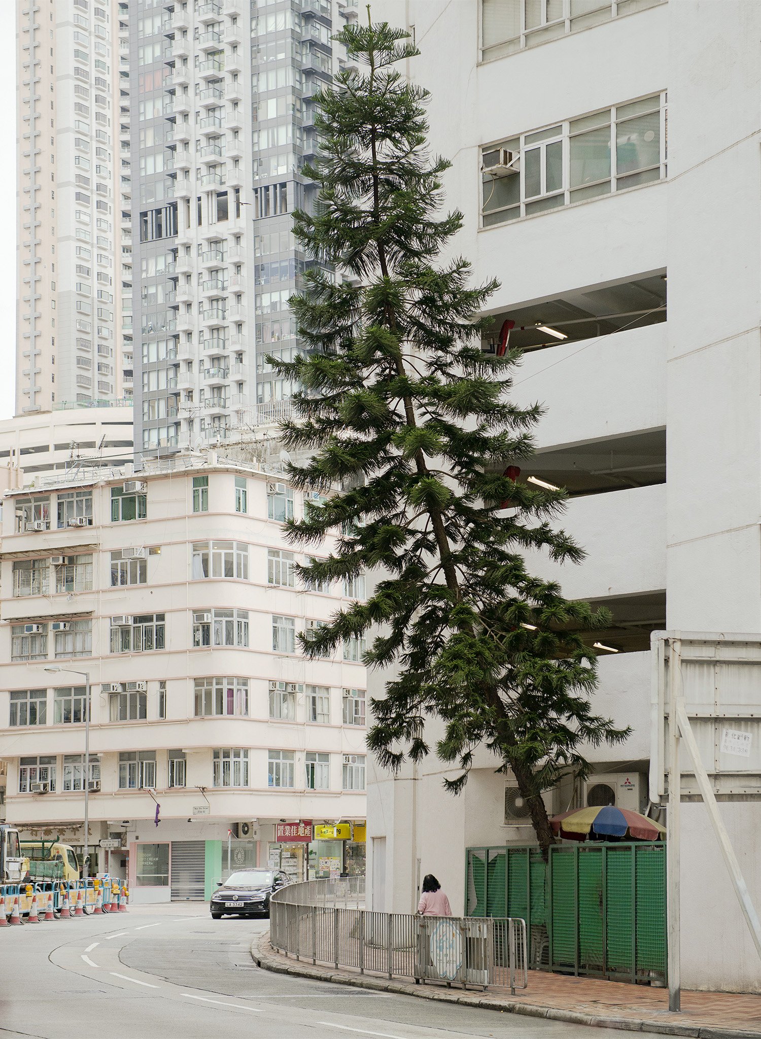 Jan Schünke, Designated Life, Tree 8, Hong Kong