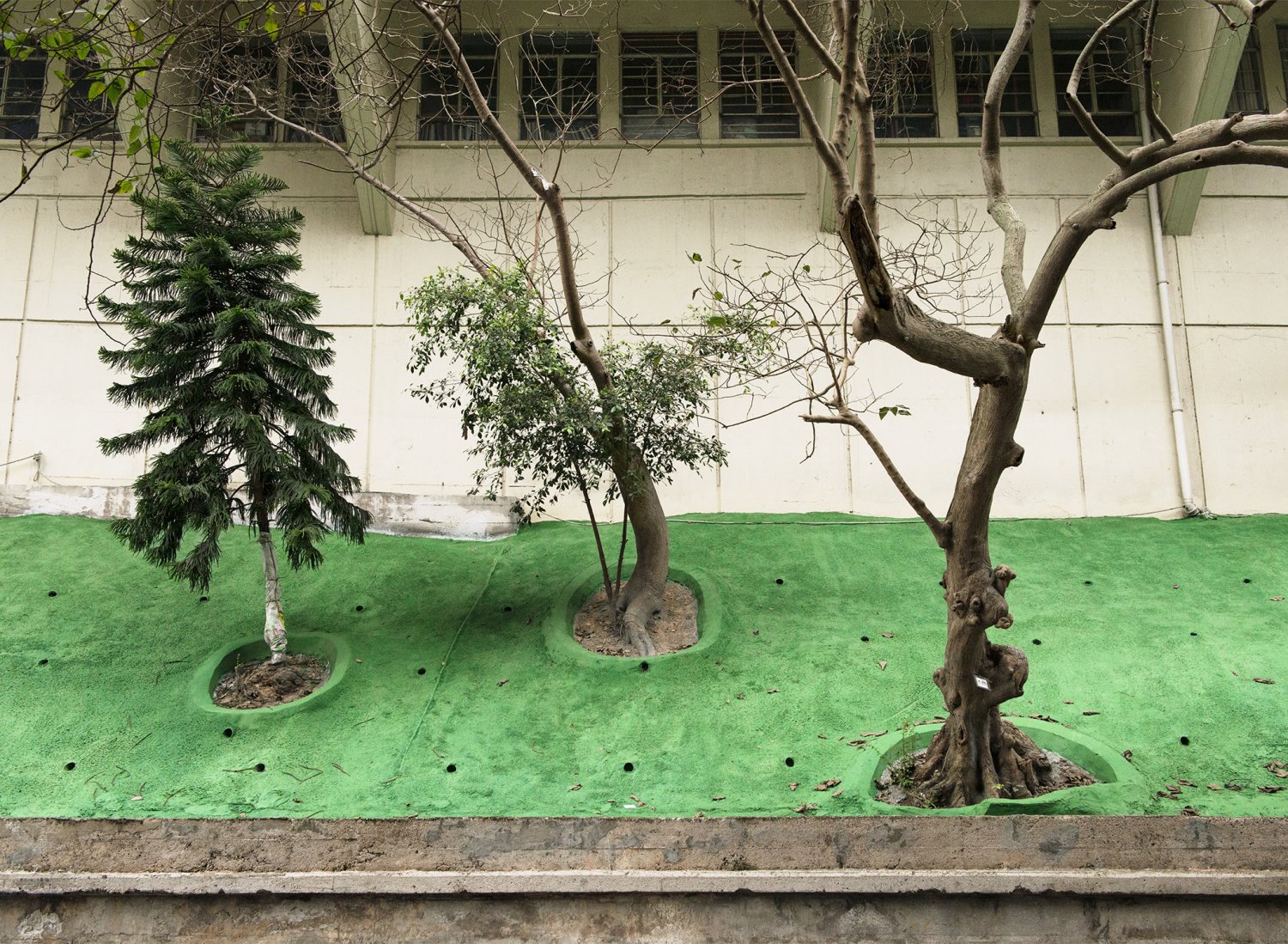 Jan Schünke, Designated Life, Tree 6, Hong Kong