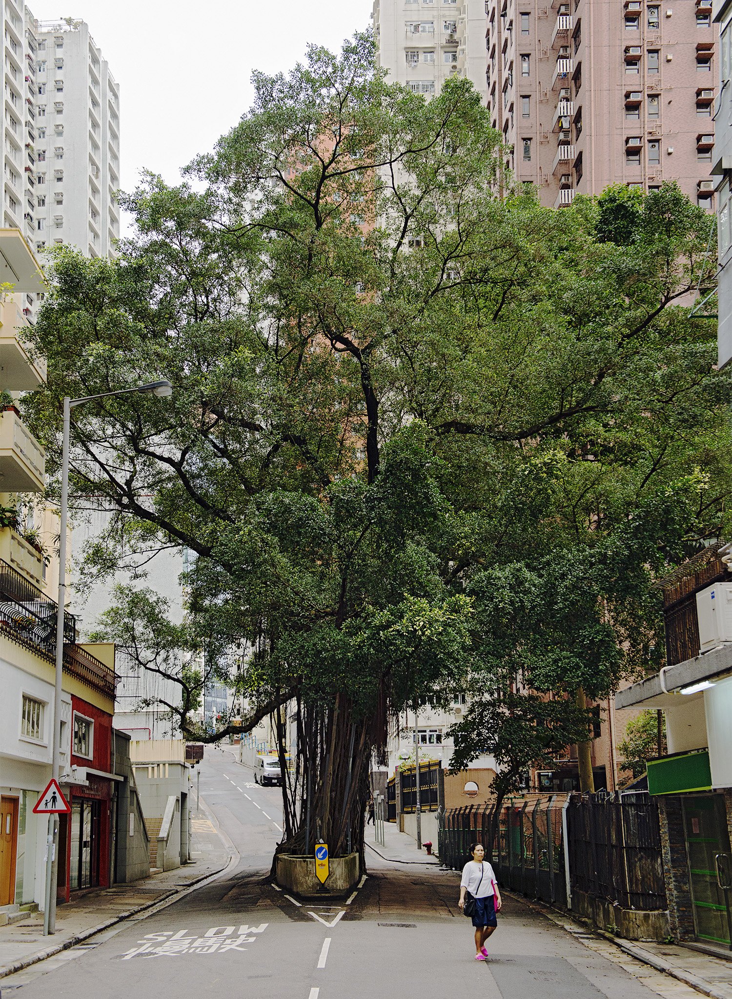 Jan Schünke, Designated Life, Tree 12, Hong Kong