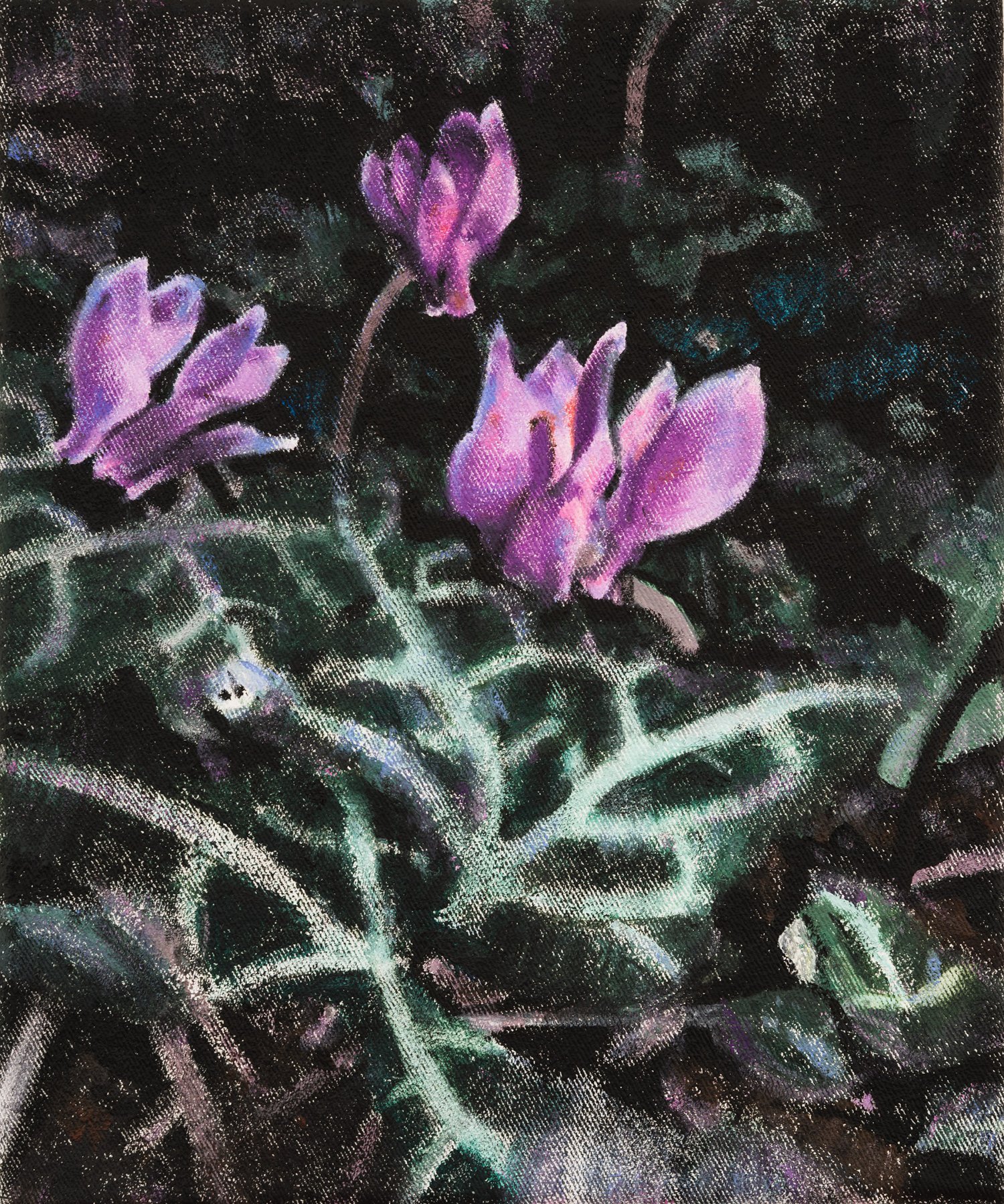 Anita Fricek, Wild Flowers – Cyclamen