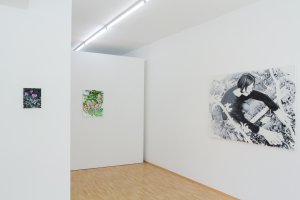 Install View
