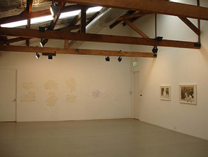 Installation View - Insurgent 2009