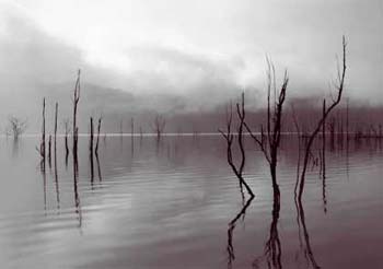 David Stephenson, Drowned, No. 16 (Lake Gordon, Tasmania)