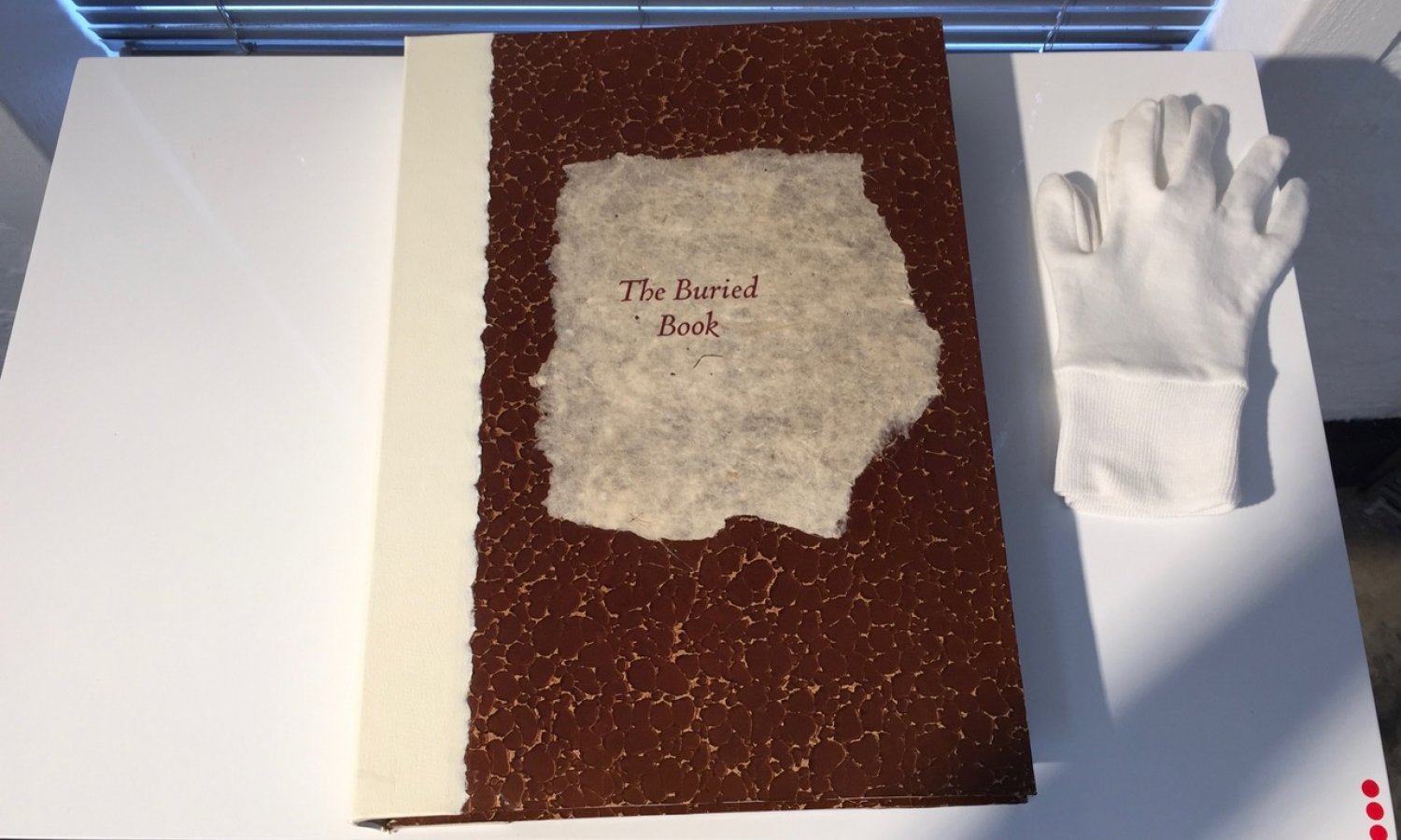 The Buried Book - Artist Book