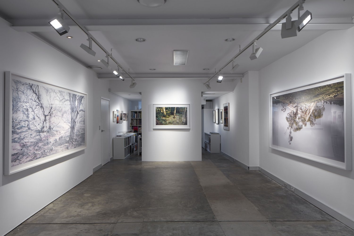 Installation - Rosemary Laing 2025