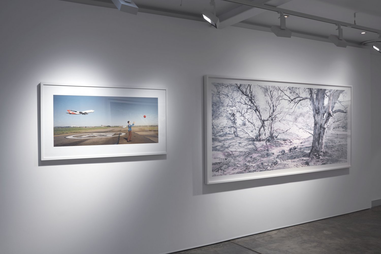 Installation - Rosemary Laing 2025