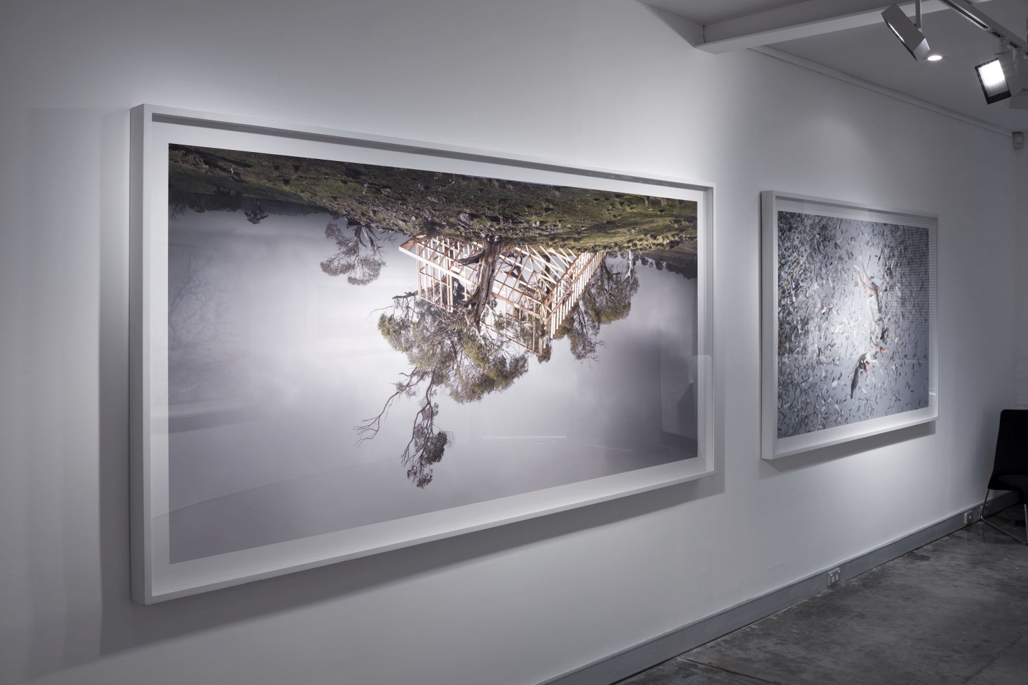 Installation - Rosemary Laing 2025