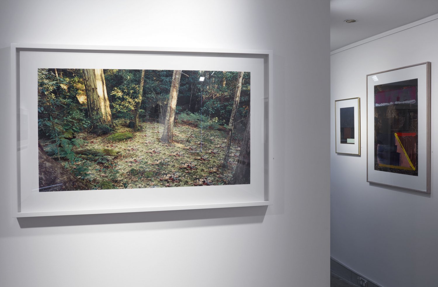 Installation - Rosemary Laing 2025