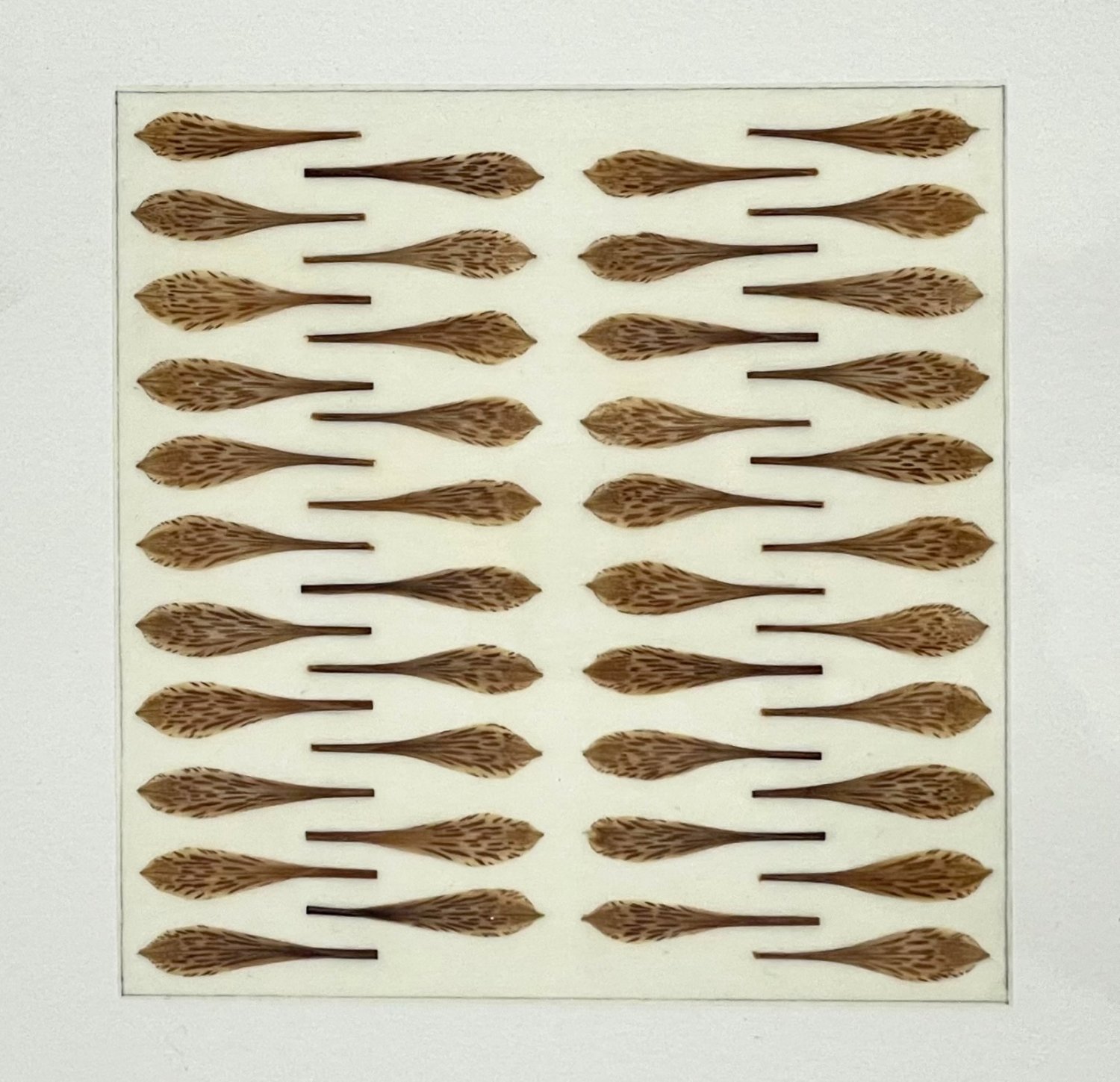 Miniature with Alstroemeria Petals