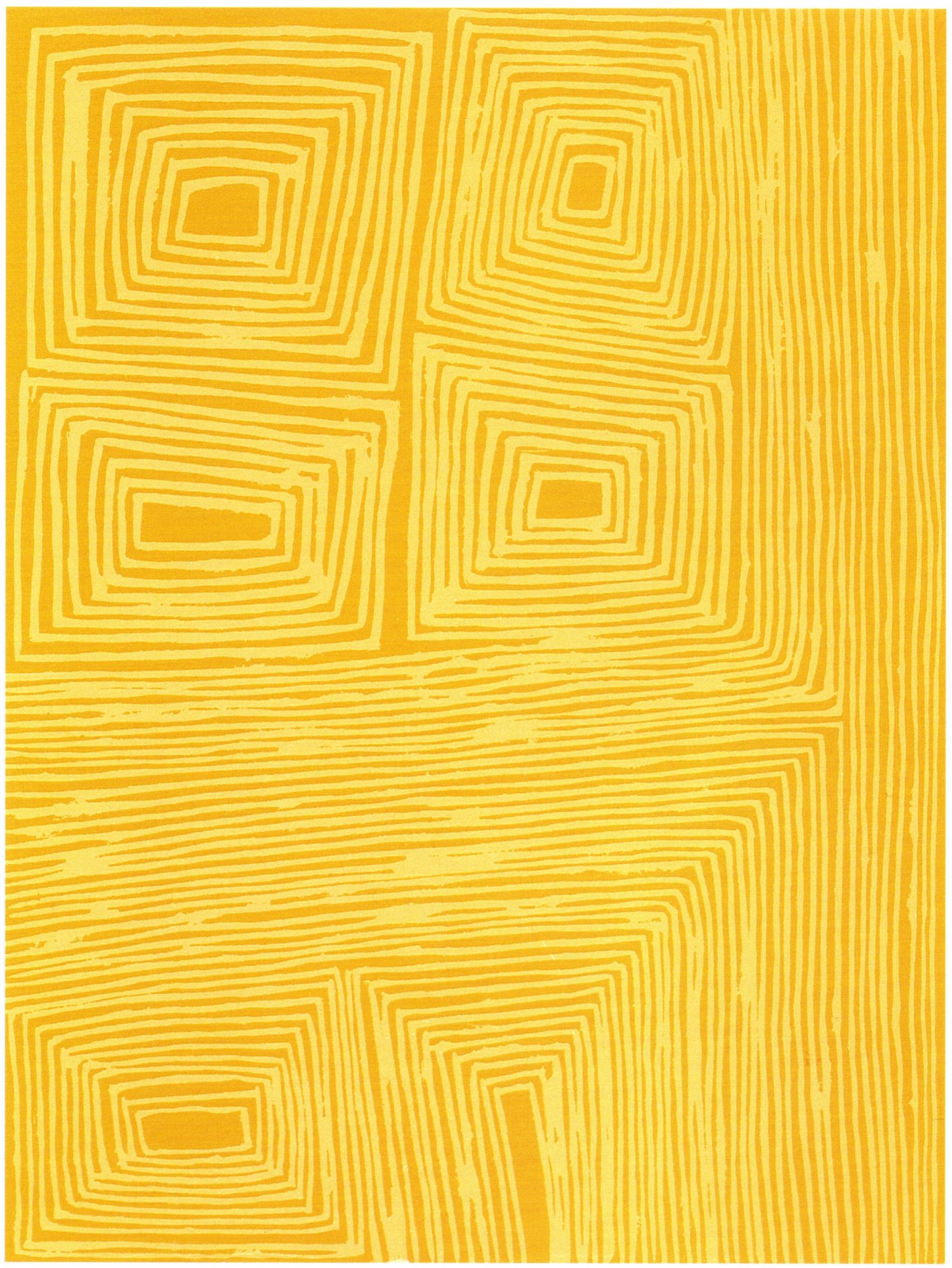 Emu Dreaming, from the Crossroads portfolio