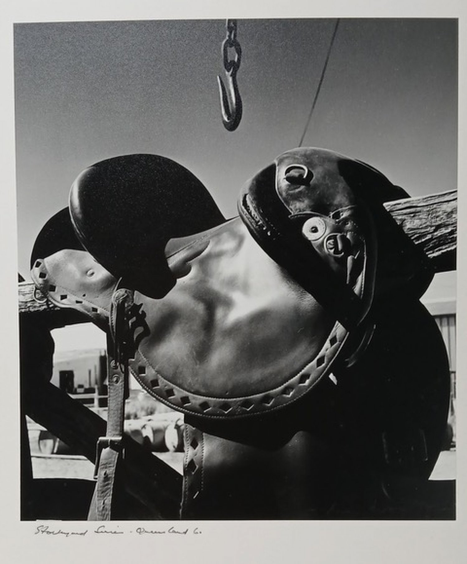 Max Dupain, 'Stockyard Series - Queensland 6' Photograph