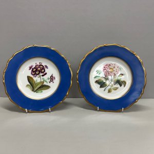 A Pair of English 19th Century Hand Painted Plates