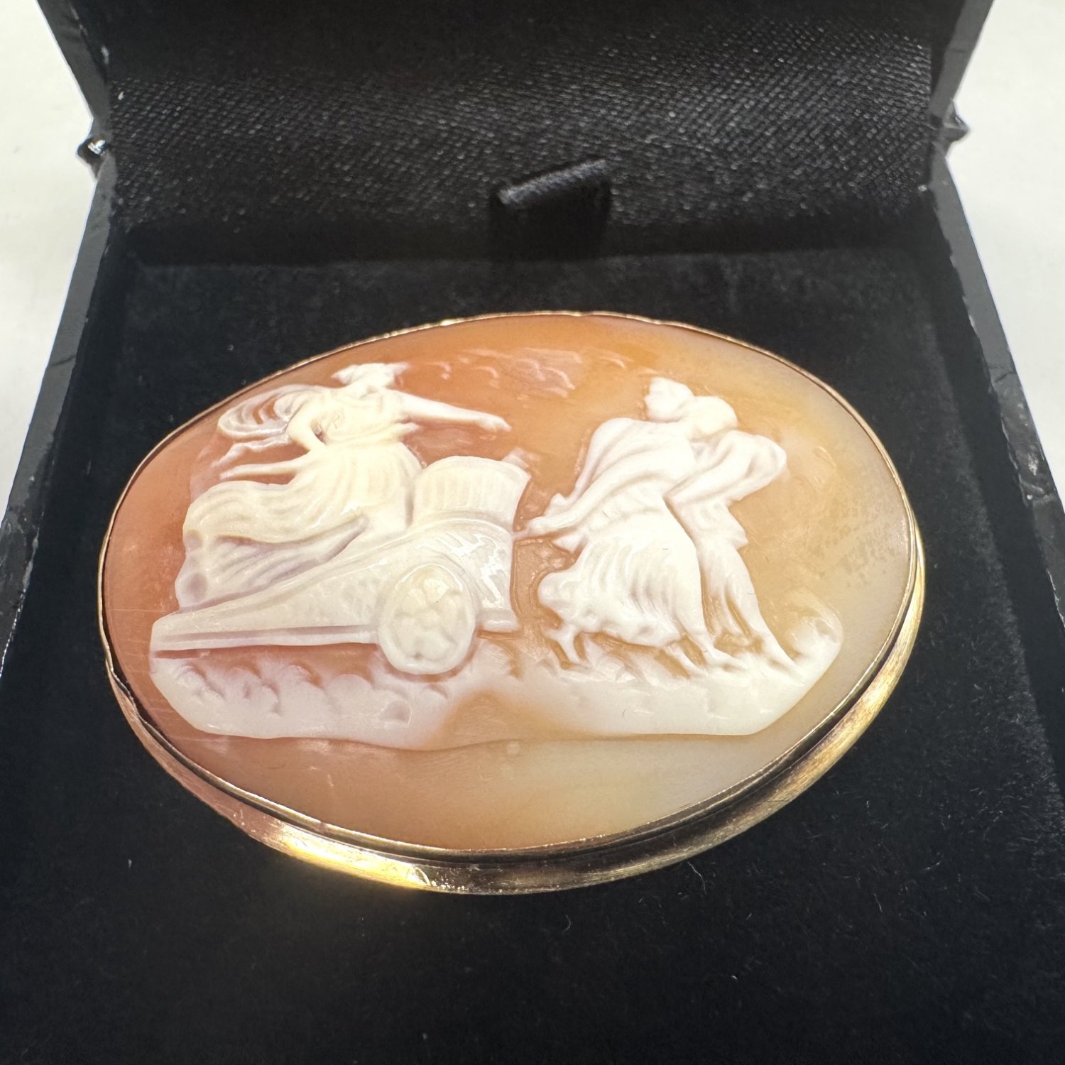 A Victorian 15ct. Gold Cameo Brooch and Pendant. 