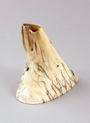 Woolly Mammoth Baby Tooth