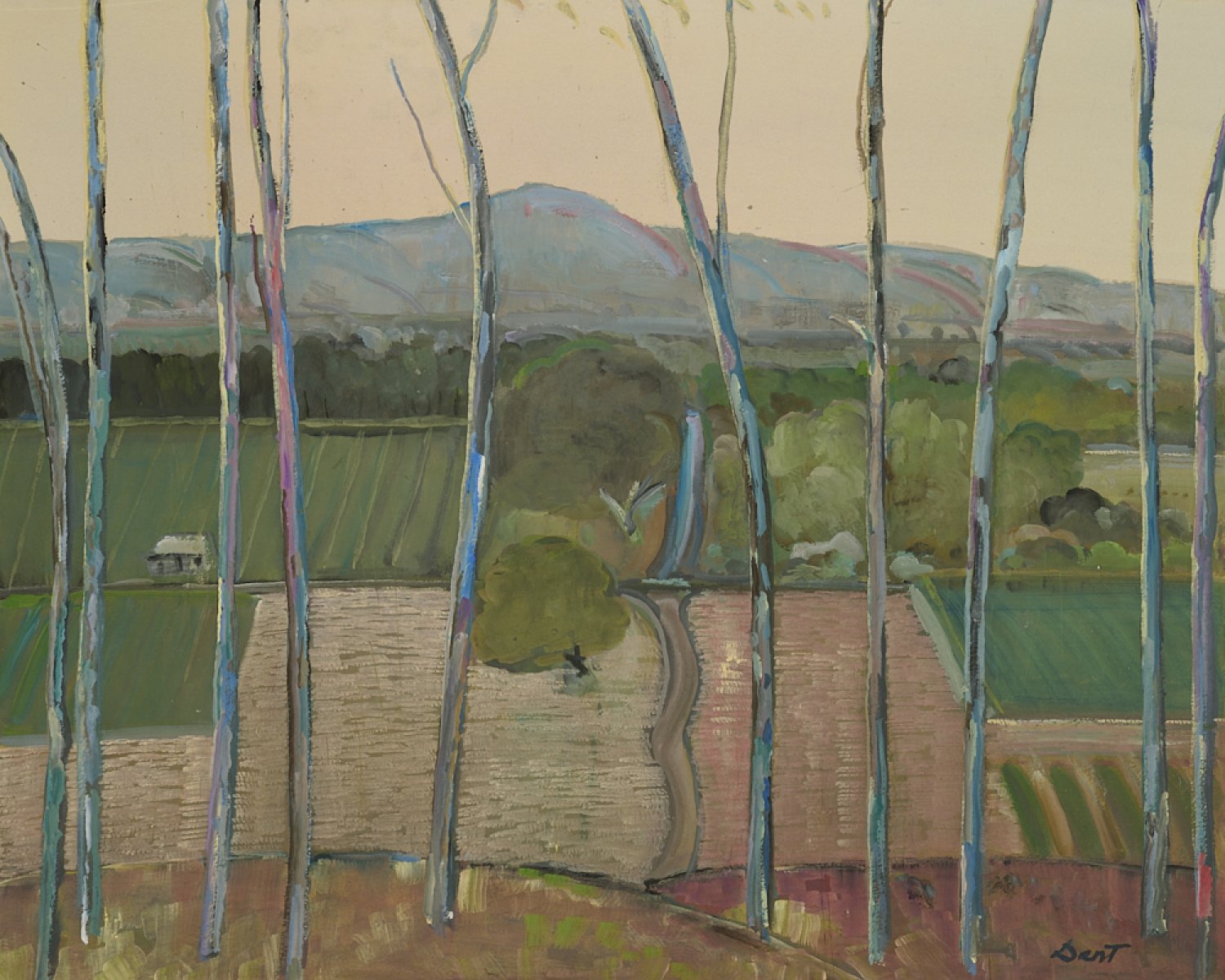 McLaren Vale