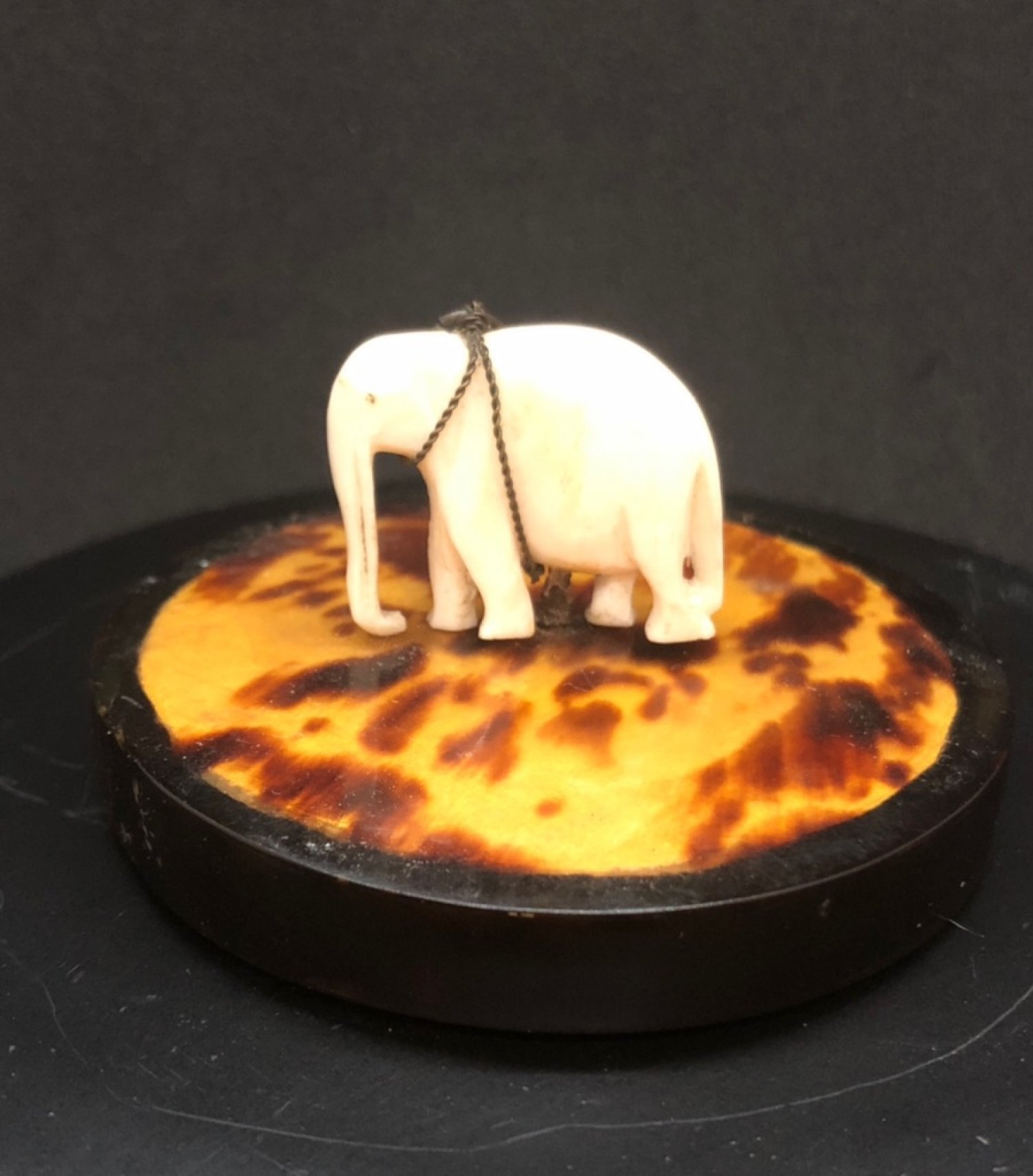 An exquisite tortoise shell and ivory paperweight