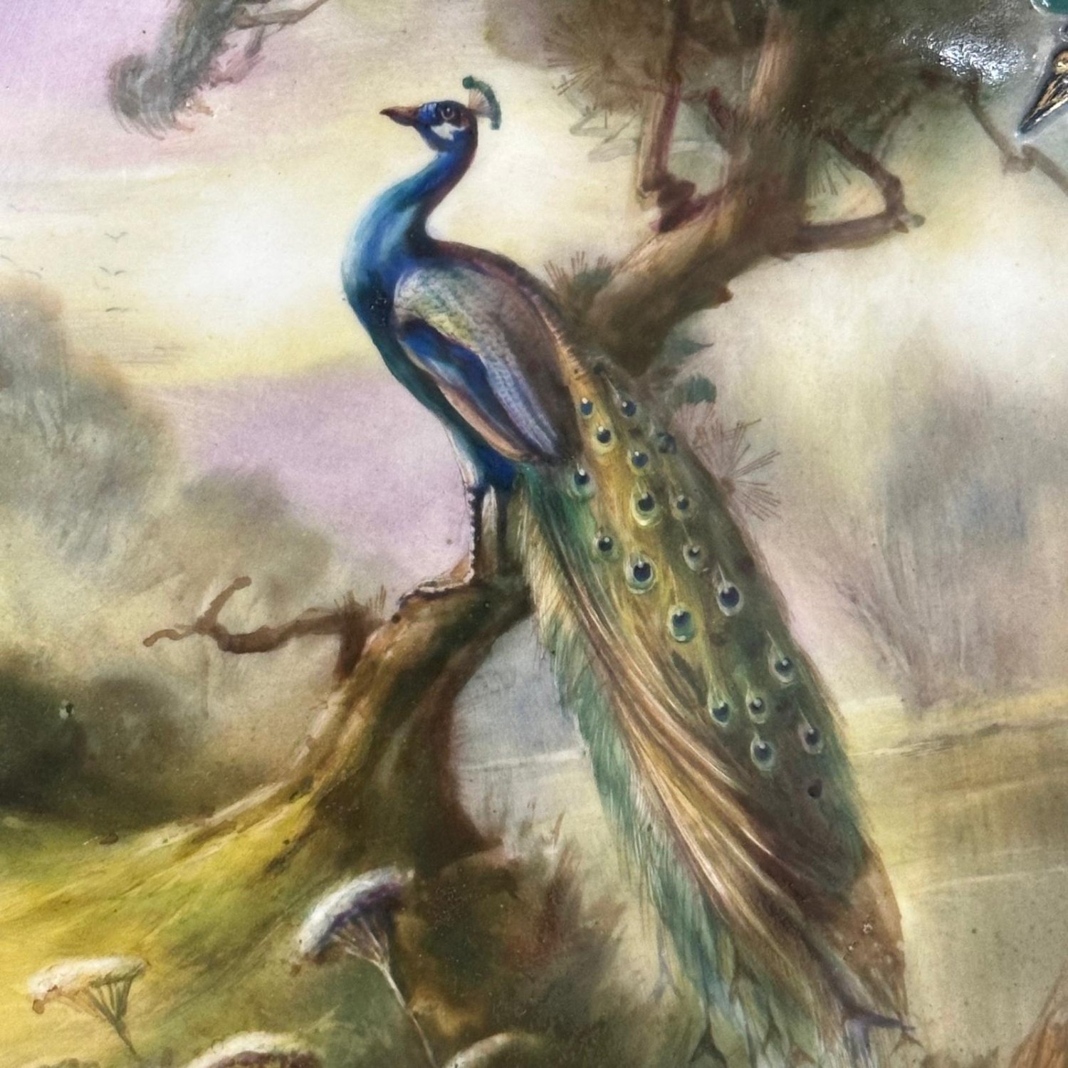 Hadley’s Royal Worcester peacock plate by J.Sedgley 