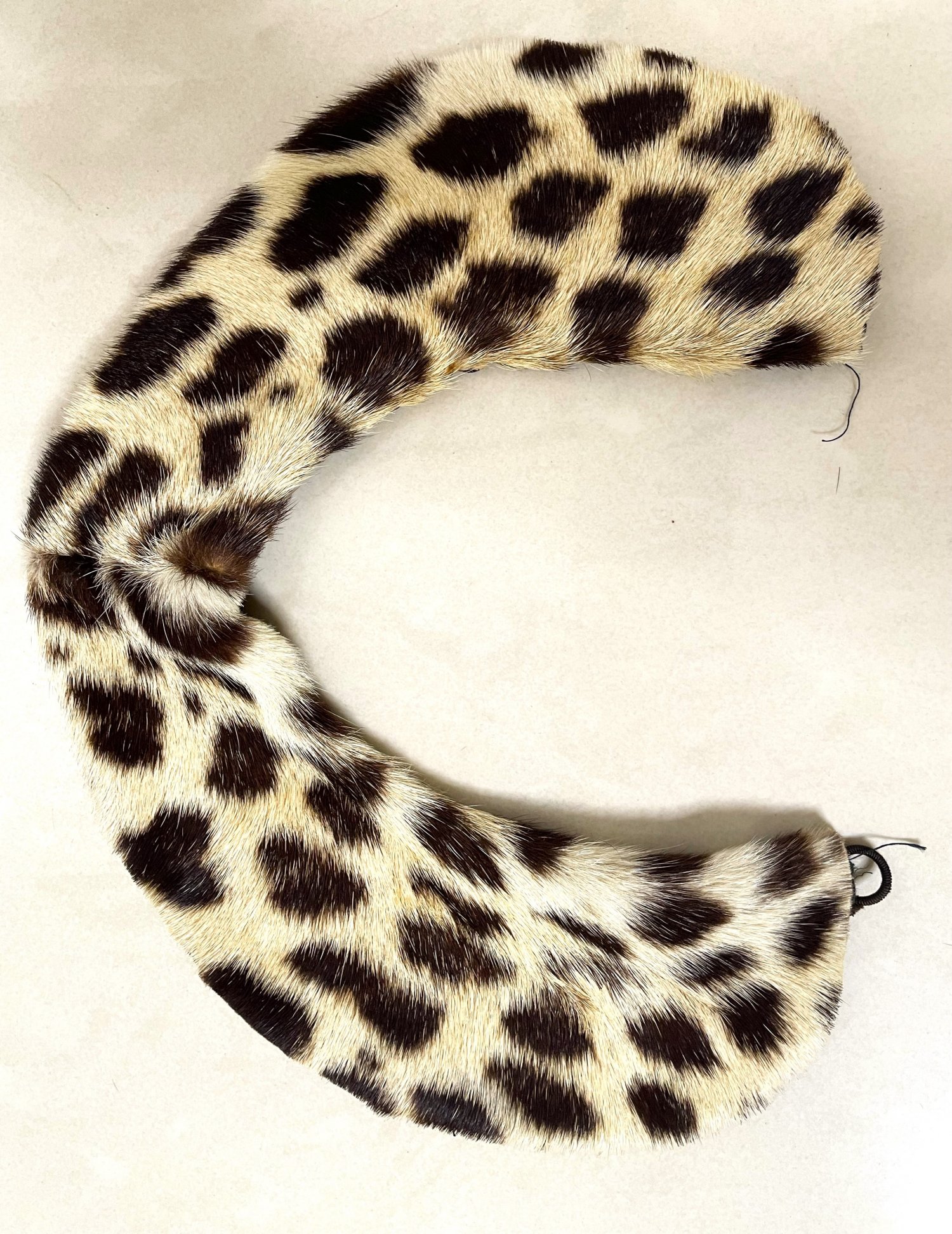 Antique Leopard Fur Peter Pan Style Collar (Necklace, Accessory, Scarf) 