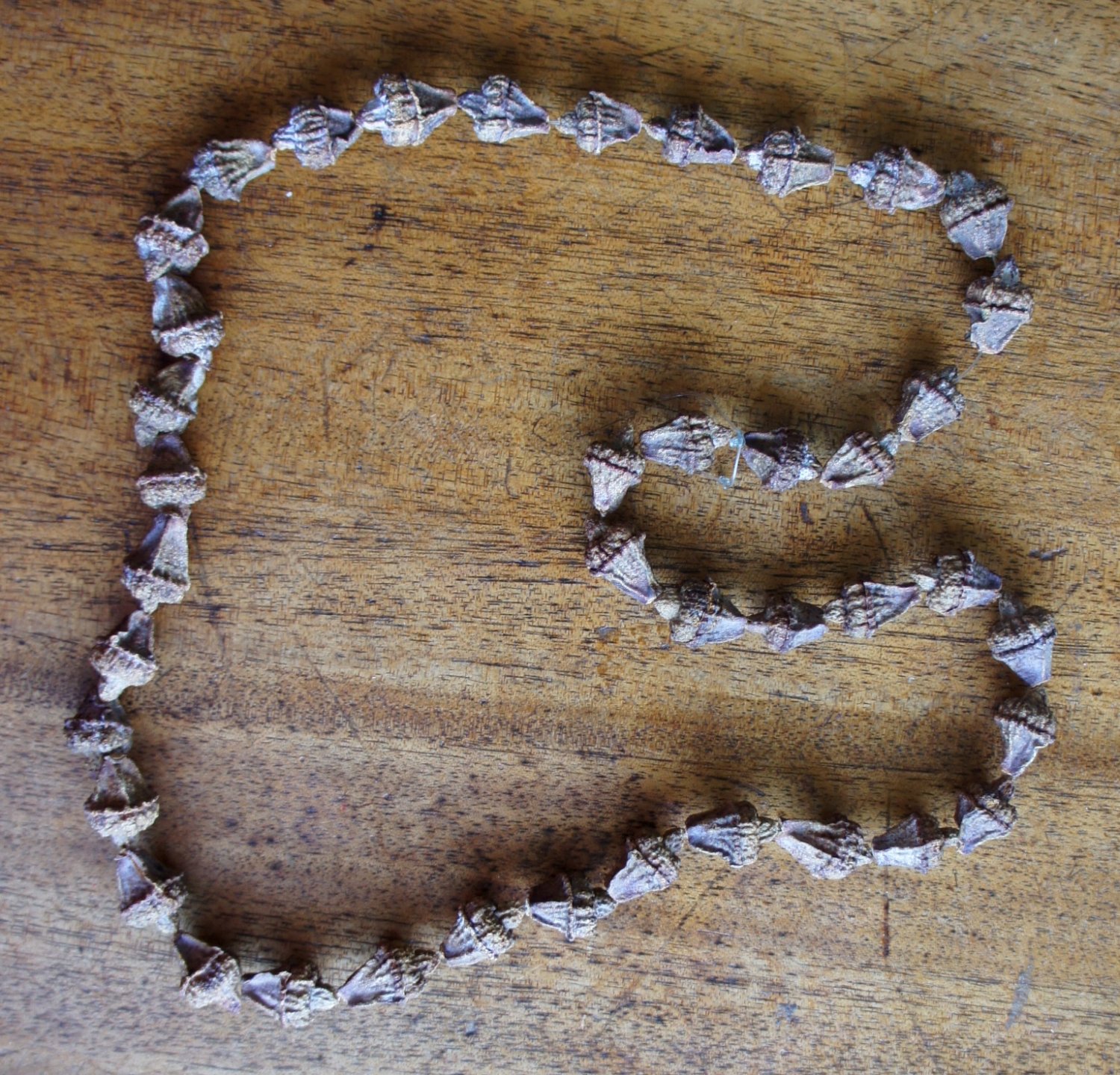 A Gum Nut Necklace